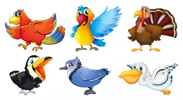 depositphotos 21322943-stock-illustration-different-types-of-birds